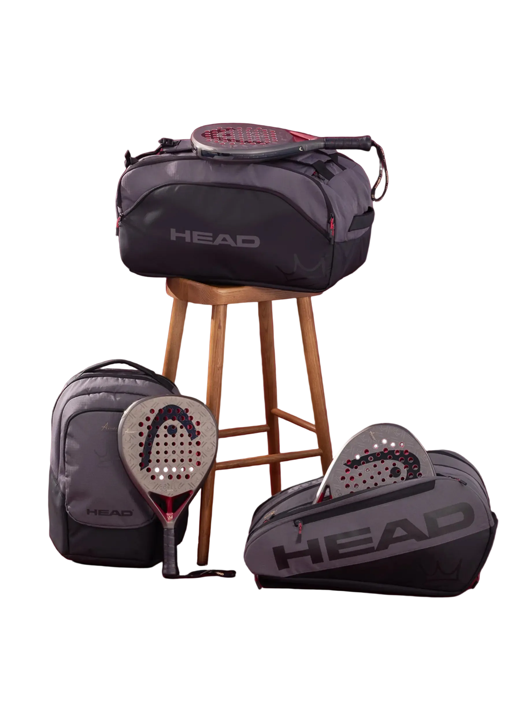 Pala Head Coello Motion 2026