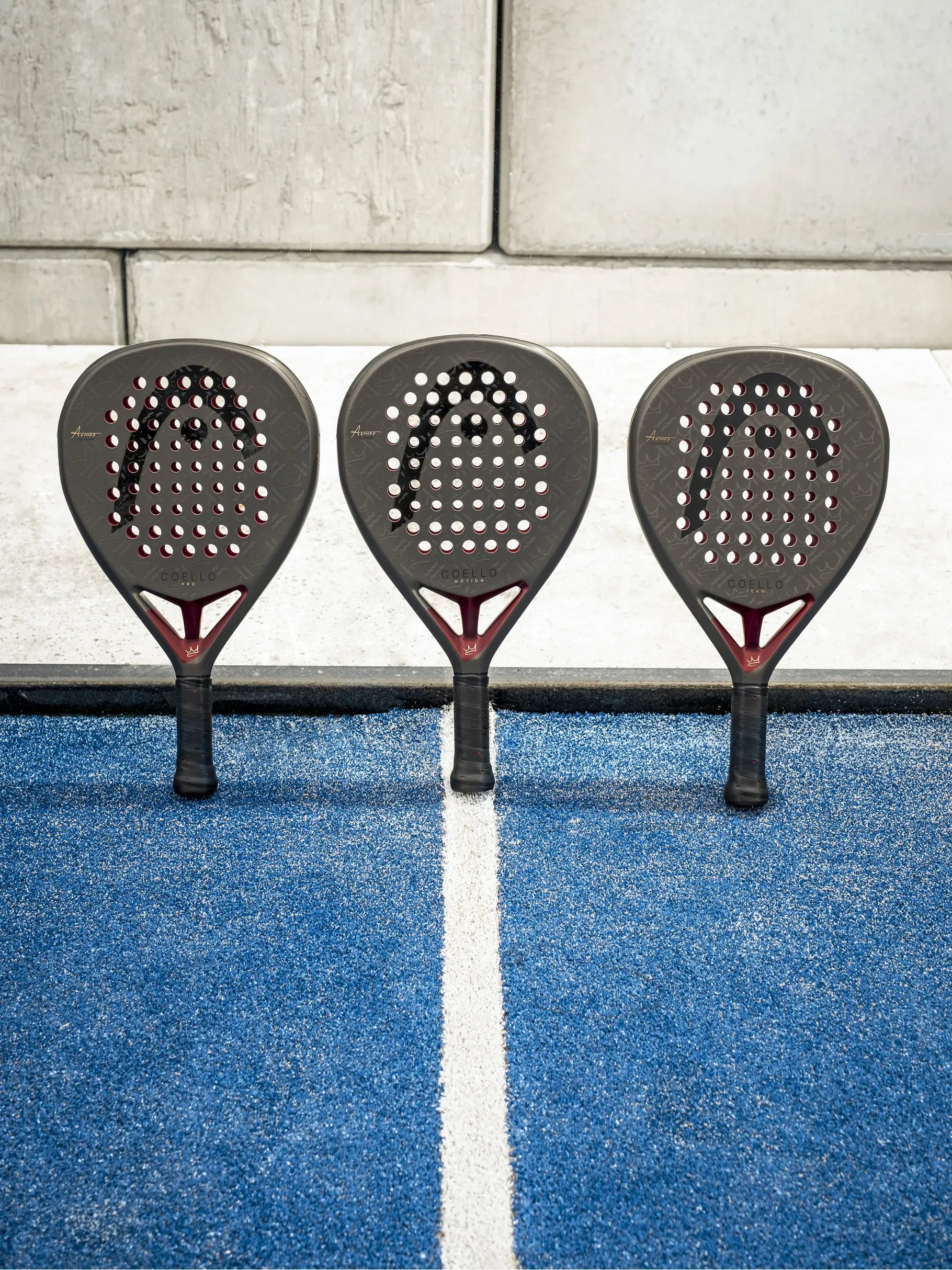 Pala Head Coello Motion 2026