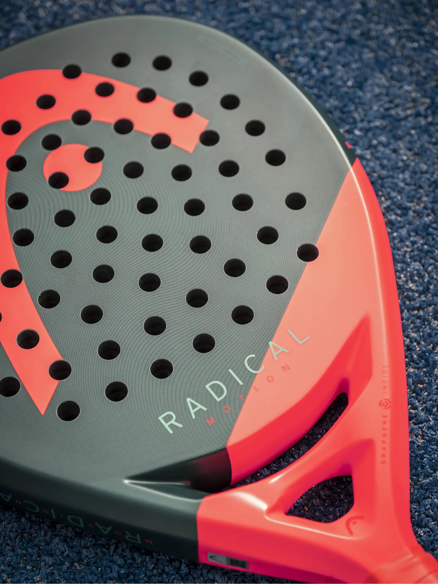 Pala Head Radical Motion 2026