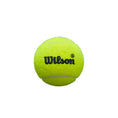 Cargar la imagen en la vista de la galería, Bote de Pelotas Wilson Premier Padel Speed Balls
