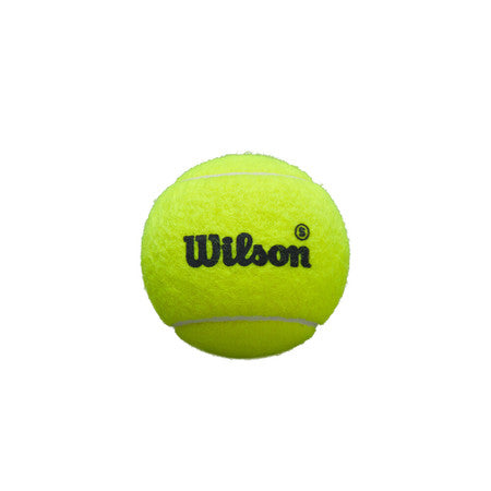 Bote de Pelotas Wilson Premier Padel Speed Balls